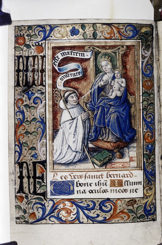Nursing Madonna